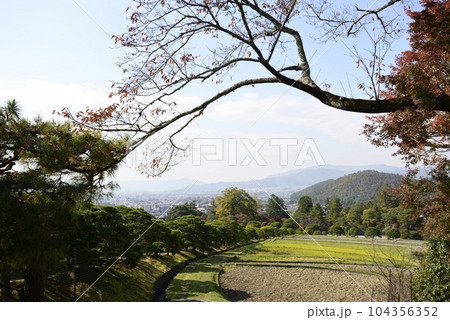 修学院離宮　松並木と田園風景 104356352