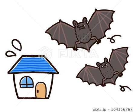 家にあつまるコウモリたち 家にあつまるコウモリたち 104356767