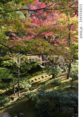 修学院離宮　上離宮　紅葉 104356833