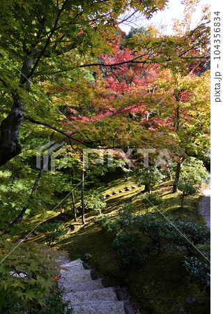 修学院離宮 上離宮 紅葉 修学院離宮 上離宮 紅葉 104356834