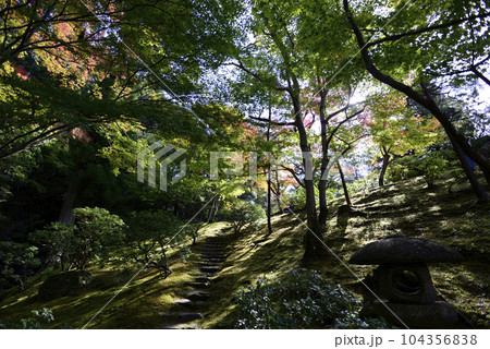 修学院離宮　上離宮　紅葉 104356838