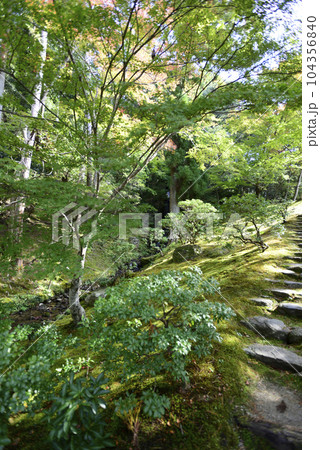 修学院離宮　上離宮　紅葉 104356840