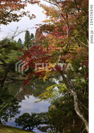修学院離宮 上離宮 紅葉 修学院離宮 上離宮 紅葉 104356846