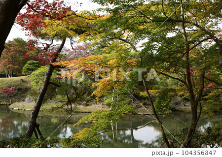 修学院離宮 上離宮 紅葉 修学院離宮 上離宮 紅葉 104356847