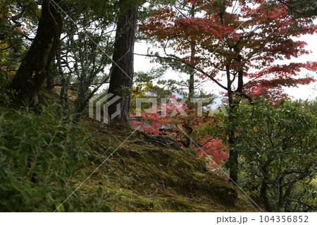 修学院離宮　上離宮　紅葉 104356852