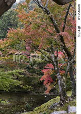 修学院離宮　上離宮　紅葉 104356880
