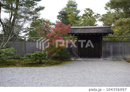 修学院離宮　紅葉 104356997