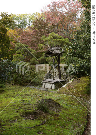 修学院離宮　紅葉 104356999