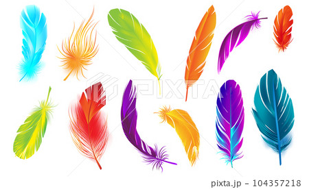 Colored Feathers Realistic Set Colored Feathers Realistic Set 104357218