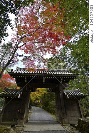 赤山禅院　山門の紅葉 104357605