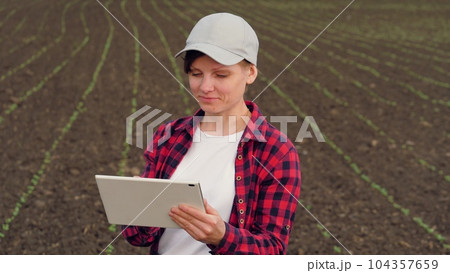 farmer working tablet field, seedlings ground ground soil row, business growing vegetable plants, tablet hand agriculture, young grass work ecoculture harvesting girl road control field contract care 104357659