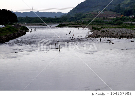 相模川、初夏のアユ釣り風景 104357902