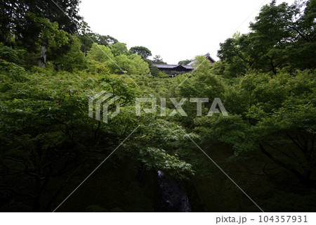 東福寺　通天橋の新緑 104357931