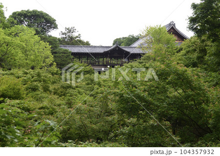 東福寺　通天橋の新緑 104357932