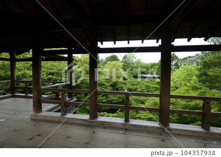 東福寺　通天橋から望む新緑 104357938