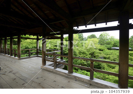 東福寺　通天橋から望む新緑 104357939