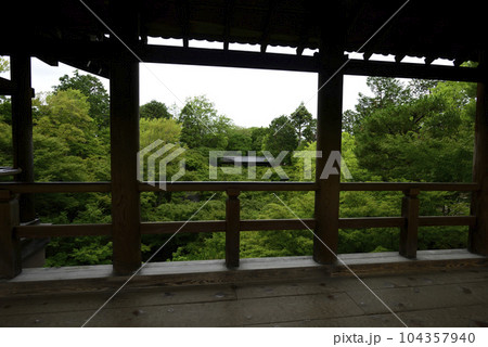 東福寺　通天橋から望む新緑 104357940