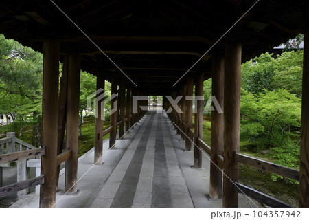 東福寺　通天橋から望む新緑 104357942