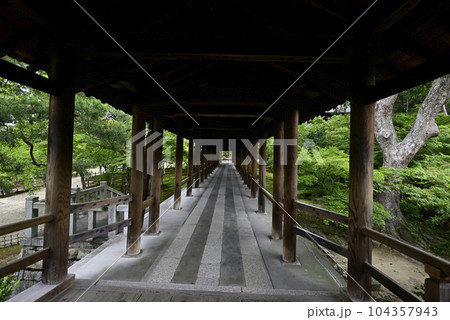 東福寺　通天橋から望む新緑 104357943