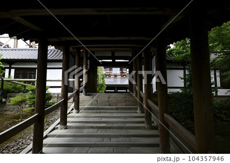 東福寺　通天橋から望む新緑 104357946
