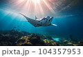 Manta ray reef fish in blue ocean 104357953