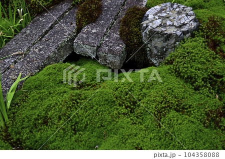 東福寺　開山堂庭園 104358088