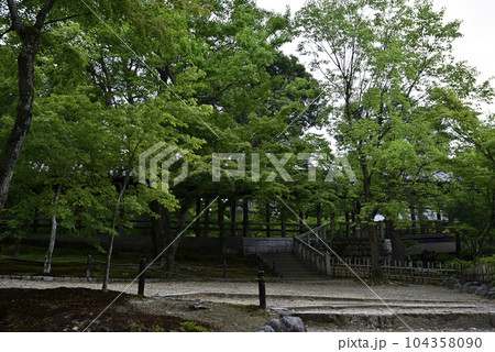 東福寺 新緑 東福寺 新緑 104358090