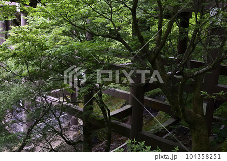 東福寺 通天橋 新緑 東福寺 通天橋 新緑 104358251