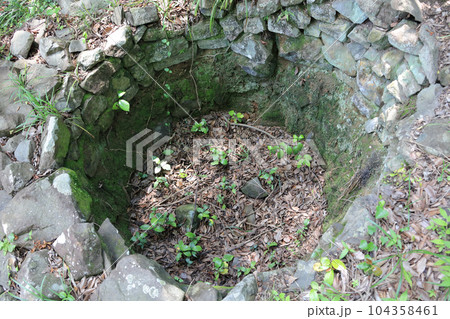 四国村ミウゼアム 徳島県脇町の猪垣の落とし穴(再現) 四国村ミウゼアム 徳島県脇町の猪垣の落とし穴(再現) 104358461