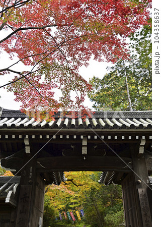 赤山禅院　山門 104358637