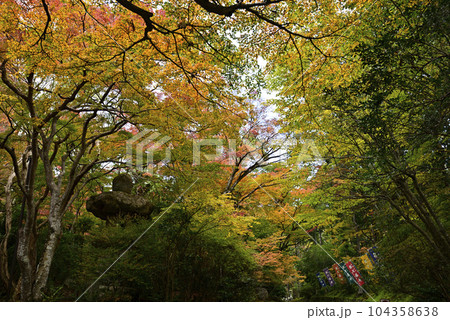 赤山禅院 104358638