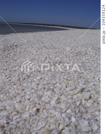 シェルビーチ 104359124