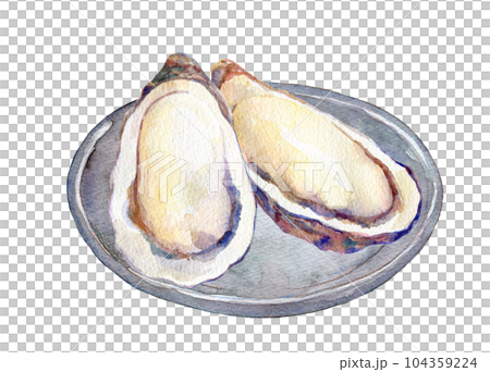 Watercolor illustration oyster bar 104359224