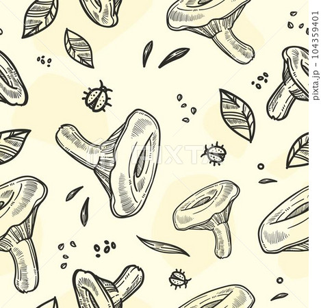 Organic and natural mushrooms ingredients vector 104359401