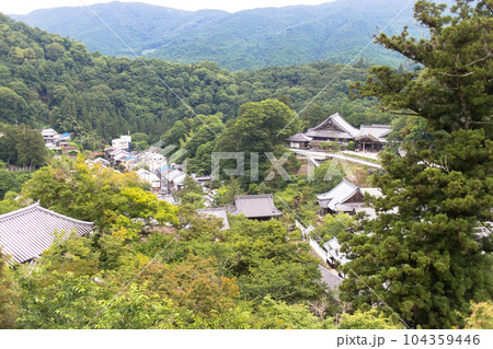 長谷寺　紫陽花 104359446