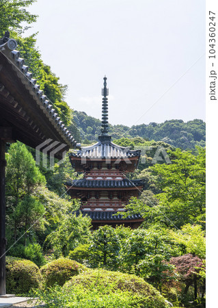 三室戸寺 三重塔(京都府宇治市莵道滋賀谷) 三室戸寺 三重塔(京都府宇治市莵道滋賀谷) 104360247