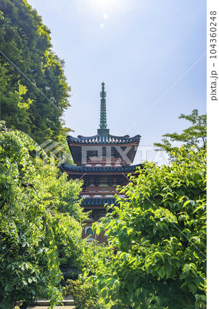 三室戸寺　三重塔（京都府宇治市莵道滋賀谷） 104360248