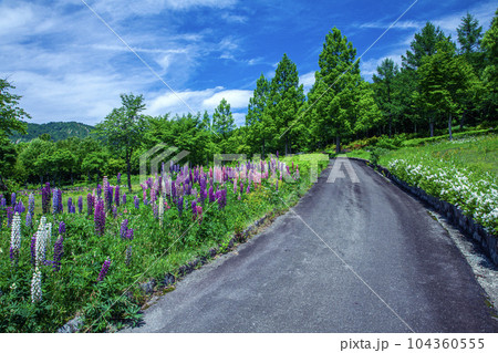 夏の月山弓張平公園 104360555