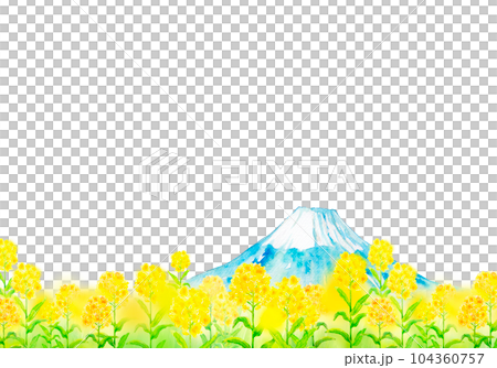 水彩插圖富士山和油菜花田 水彩插圖富士山和油菜花田 104360757