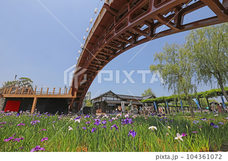 水郷潮来あやめ園 104361072