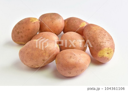 ジャガイモ(インカのひとみ) ジャガイモ(インカのひとみ) 104361106