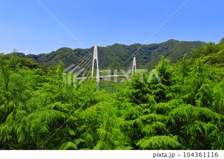 【京都府】新緑の舞鶴クレインブリッジ 104361116