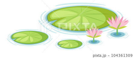 Water Lily Pads Vector Water Lily Pads Vector 104361309
