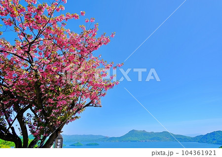 北海道 洞爺湖の桜 104361921