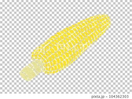 玉米插圖(印刷風格) 玉米插圖(印刷風格) 104362303