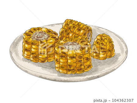 カットされた焼きとうもろこしのイラスト(水彩風) カットされた焼きとうもろこしのイラスト(水彩風) 104362307