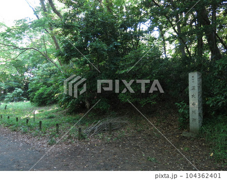 神代植物公園の水生植物園にある深大寺城跡(第一郭跡付近) 神代植物公園の水生植物園にある深大寺城跡(第一郭跡付近) 104362401