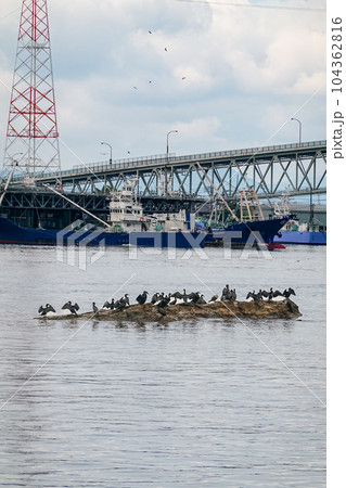 境水道に架かる境水道大橋（鳥取県境港市～島根県松江市） 104362816