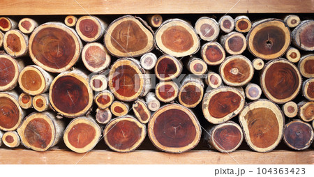 Old cutting wood arrange in row show brown log surface as nature backdrop - Home interier design. Old cutting wood arrange in row show brown log surface as nature backdrop - Home interier design. 104363423