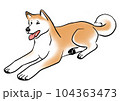 伏せてくつろぐ秋田犬 104363473